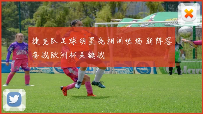 捷克队足球明星亮相训练场 新阵容备战欧洲杯关键战