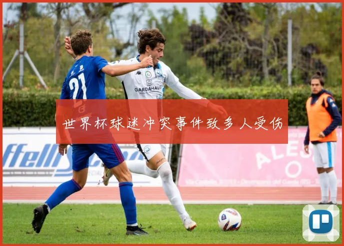 世界杯球迷冲突事件致多人受伤