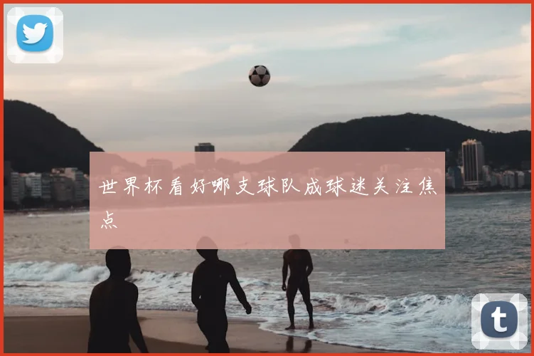 世界杯看好哪支球队成球迷关注焦点