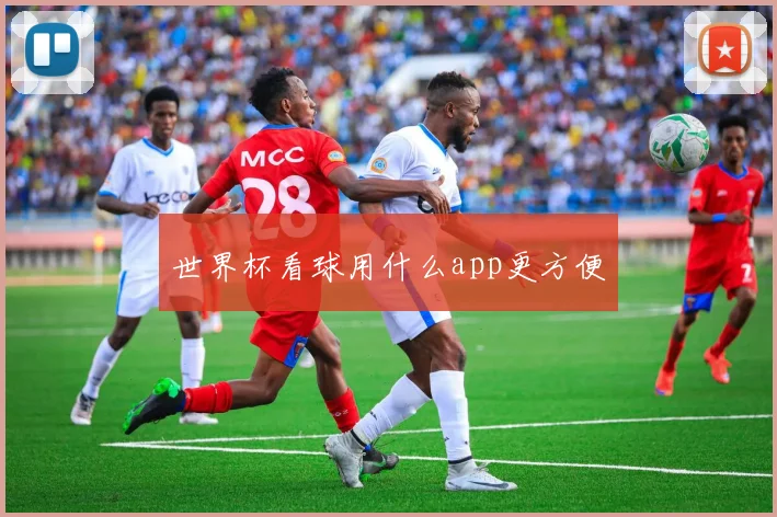 世界杯看球用什么app更方便