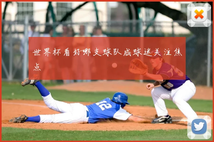 世界杯看好哪支球队成球迷关注焦点