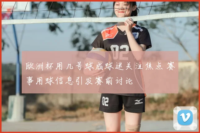 欧洲杯用几号球成球迷关注焦点 赛事用球信息引发赛前讨论