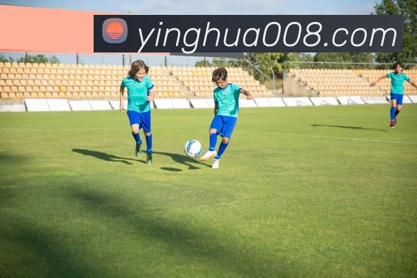 leyu乐鱼app登录入口发展历程